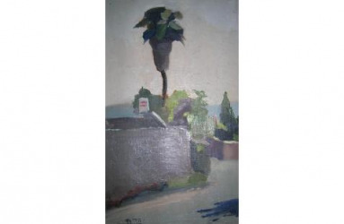 Heddy Abramowitz Palm Tree ,  1999