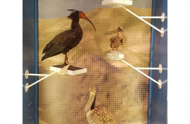 Preserving the story of nature