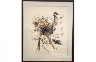 Arie Navon Ostrich