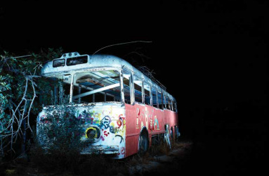Bus
