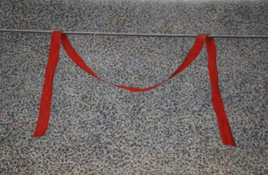 Ehud Shafrir M ,  1986