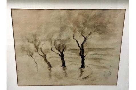 Helen Brett Trees