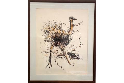 Arie Navon Ostrich