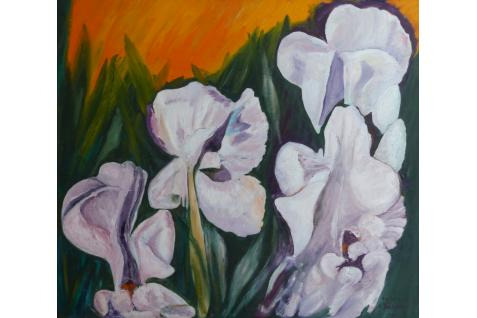 A.J. Loewy Flowers , 1987