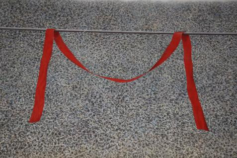 Ehud Shafrir M , 1986