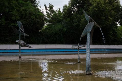 Pool With 3 Reeds