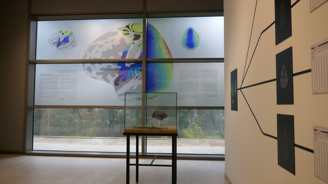 brain sciences