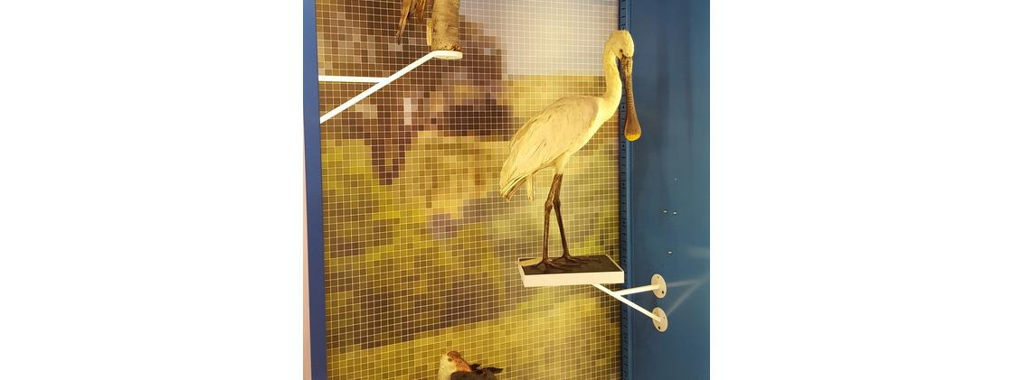 Preserving the story of nature