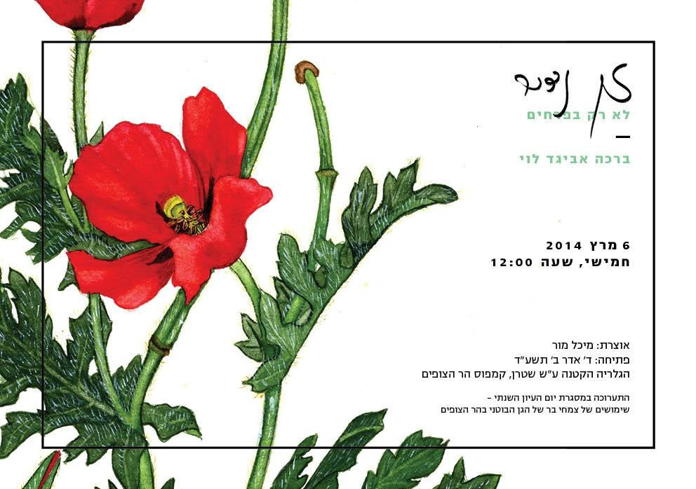 A Rare Breed | Wildflowers of Israel