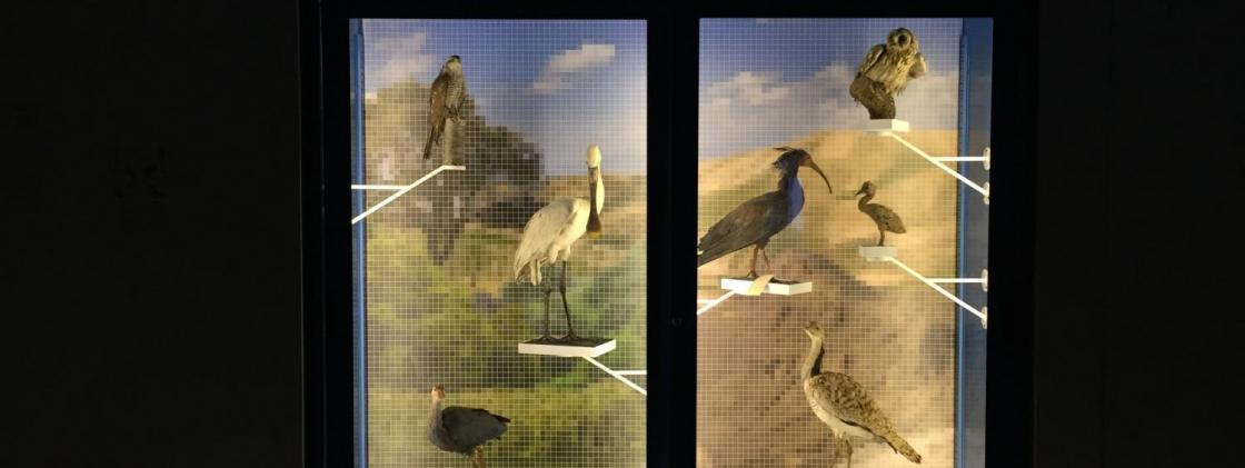 Preserving the story of nature