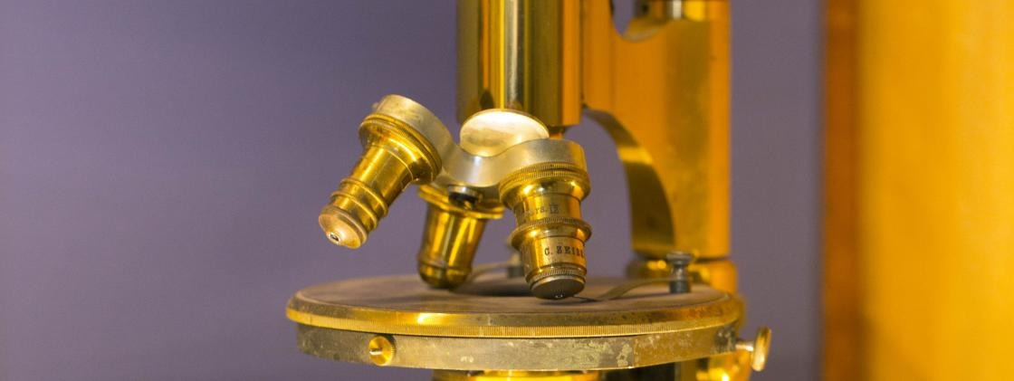 Go And Learn | Milestones in the History of Medicine