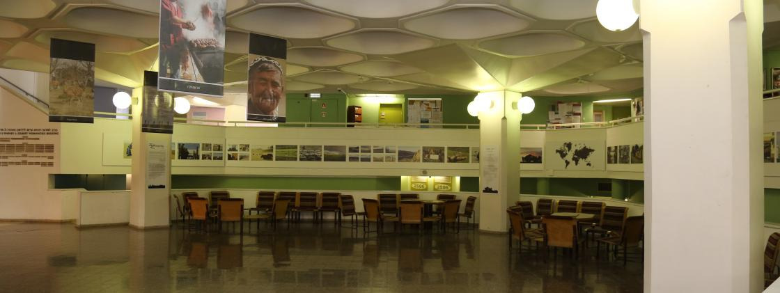 Humanities on the Move