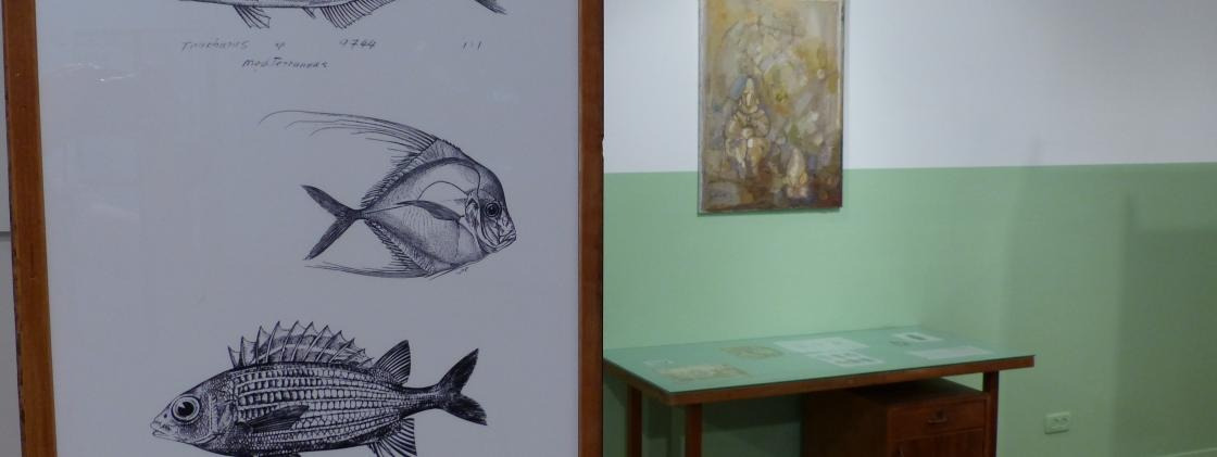 Between Times | Scientific Drawing Takes On a New Look