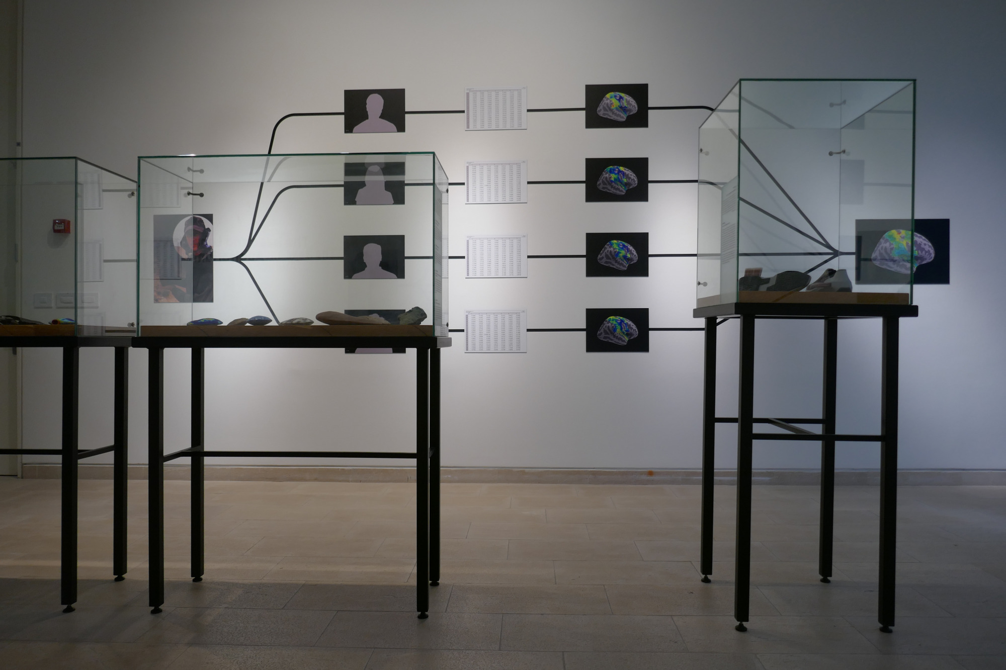 brain-sciences