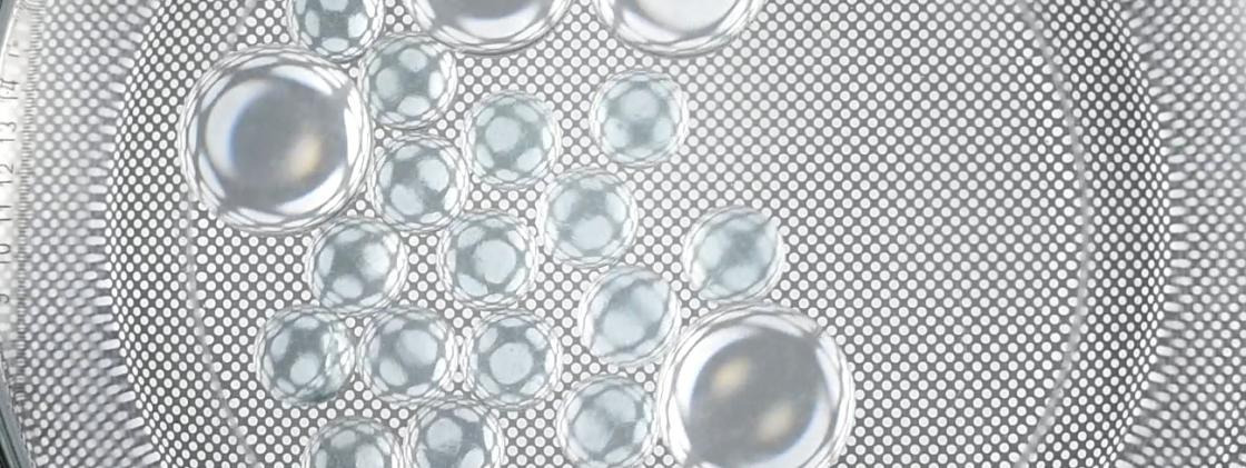 NanoArt Project 2015